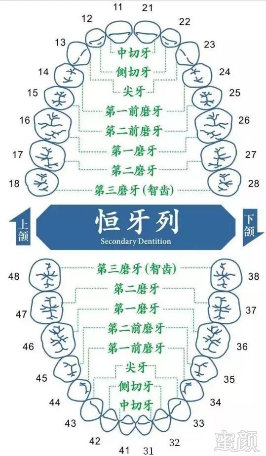 https://img.miyanlife.com/mnt/timg/180730/112P42222-1.jpg