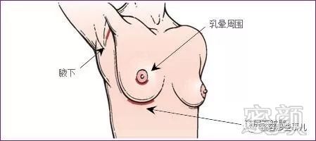 https://img.miyanlife.com/mnt/timg/180730/122I13Y1-1.jpg