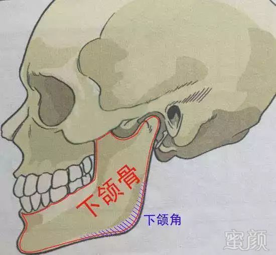 https://img.miyanlife.com/mnt/timg/180731/11422H608-2.jpg