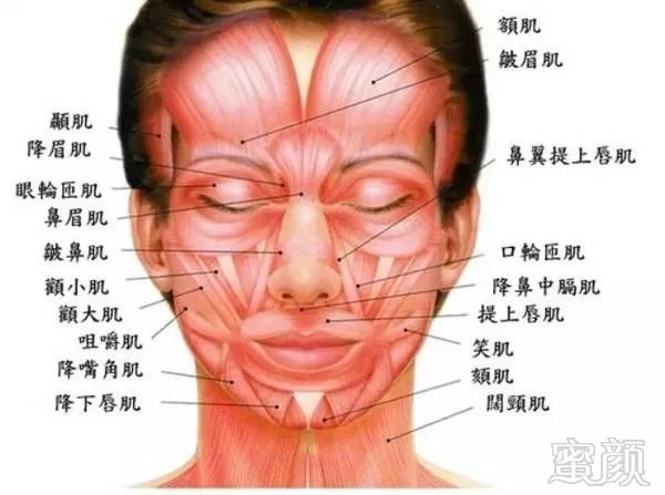 https://img.miyanlife.com/mnt/timg/180802/11424640Y-2.jpg