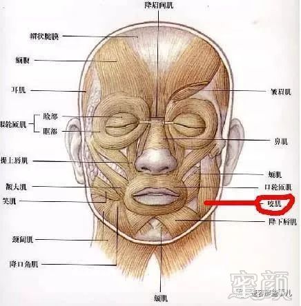 https://img.miyanlife.com/mnt/timg/180802/1211553J1-0.jpg
