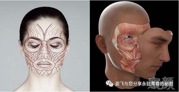 https://img.miyanlife.com/mnt/timg/180802/12403551R-3.jpg