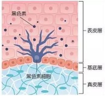 案例图片