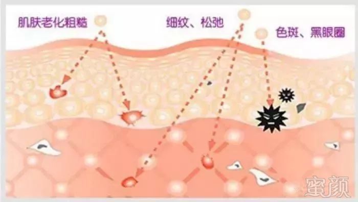 https://img.miyanlife.com/mnt/timg/180804/11354641A-5.jpg