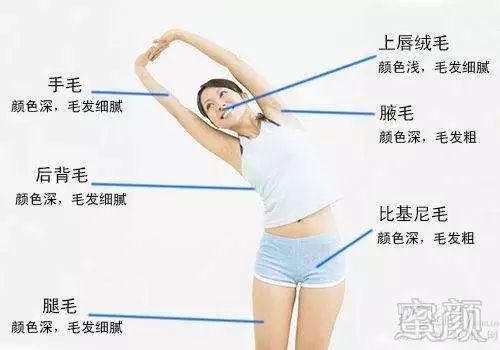 https://img.miyanlife.com/mnt/timg/180805/1133143P1-5.jpg