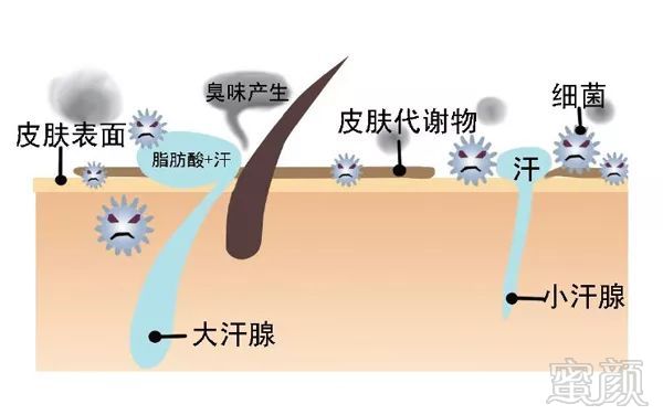 案例图片