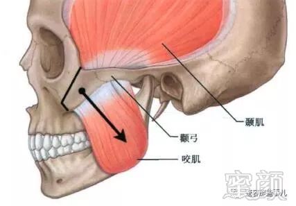 https://img.miyanlife.com/mnt/timg/180805/122A92293-1.jpg
