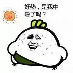 案例图片