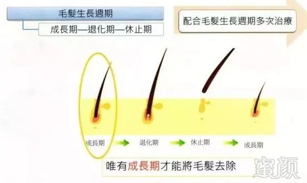 https://img.miyanlife.com/mnt/timg/180806/113J45X5-3.jpg