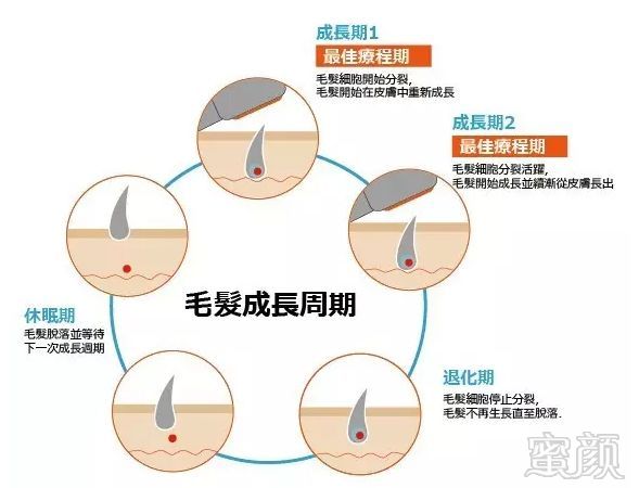 https://img.miyanlife.com/mnt/timg/180806/113J54420-4.jpg