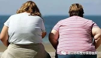 https://img.miyanlife.com/mnt/timg/180806/115955CA-2.jpg
