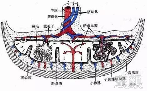 https://img.miyanlife.com/mnt/timg/180806/120S56041-2.jpg