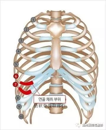 https://img.miyanlife.com/mnt/timg/180808/10455aH4-6.jpg