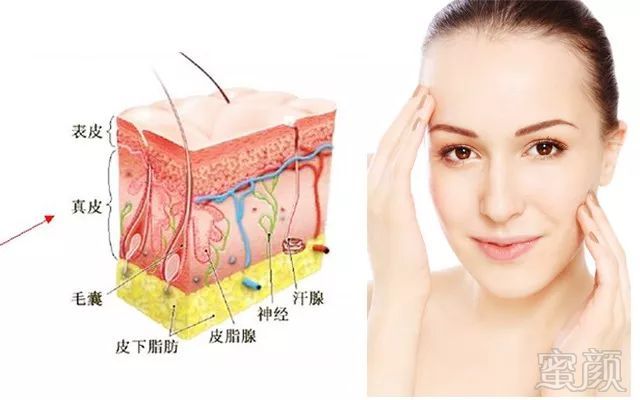 https://img.miyanlife.com/mnt/timg/180808/1123543502-4.jpg