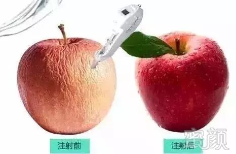 https://img.miyanlife.com/mnt/timg/180808/11342RS1-1.jpg