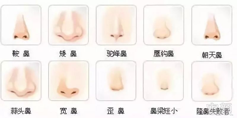 https://img.miyanlife.com/mnt/timg/180808/11544021G-2.jpg