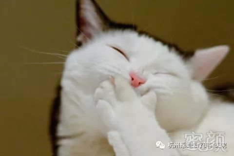 https://img.miyanlife.com/mnt/timg/180809/1136292946-0.jpg