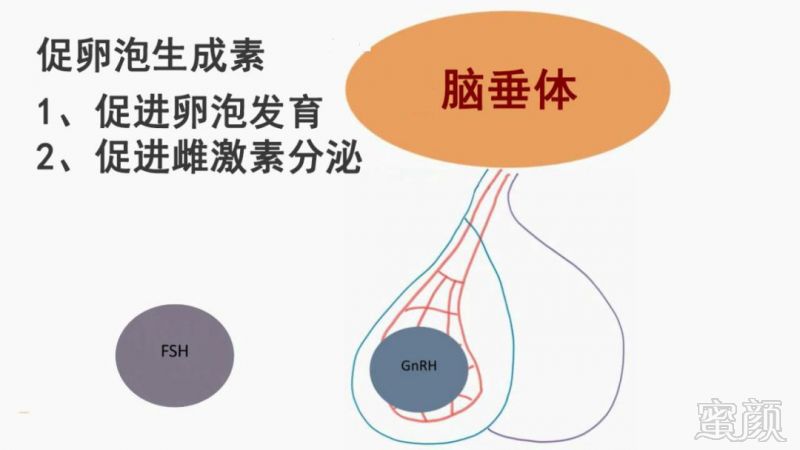 https://img.miyanlife.com/mnt/timg/180809/12014G334-5.jpg