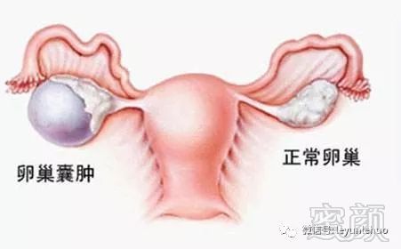 https://img.miyanlife.com/mnt/timg/180809/12014G457-6.jpg