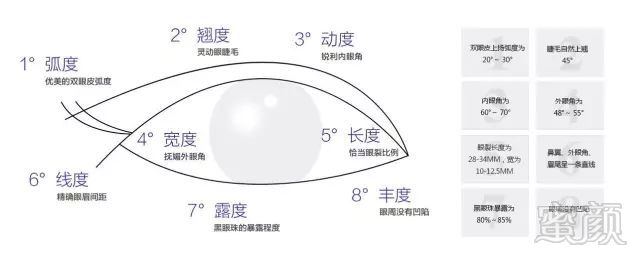 案例图片