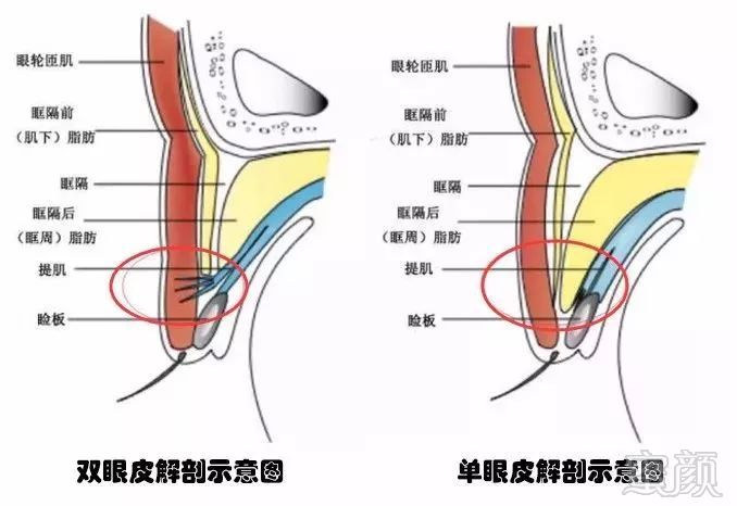 案例图片