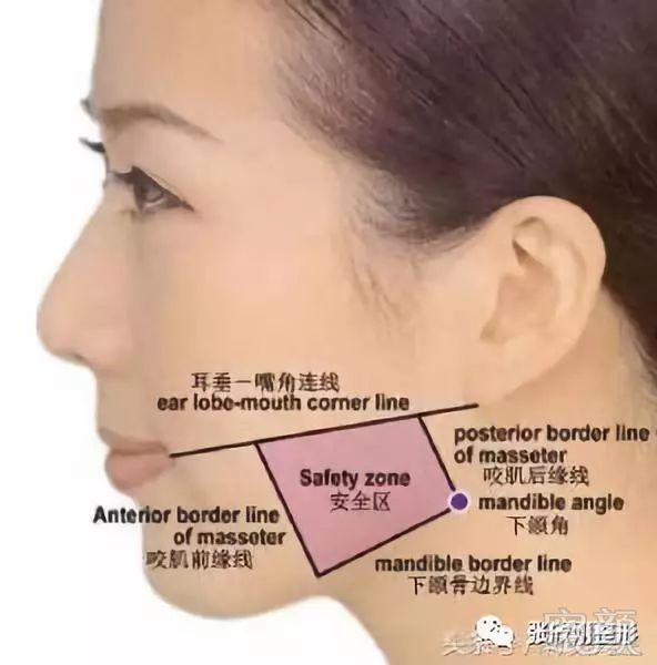https://img.miyanlife.com/mnt/timg/180811/1216432R5-1.jpg