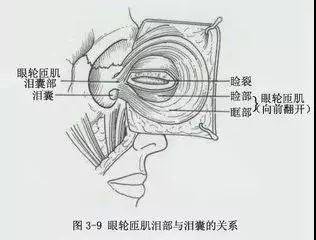 案例图片