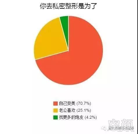 案例图片