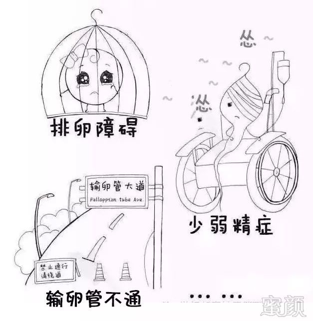 https://img.miyanlife.com/mnt/timg/180818/1250445062-2.jpg