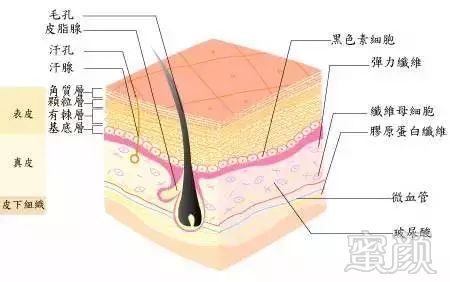 https://img.miyanlife.com/mnt/timg/180819/11022J204-2.jpg