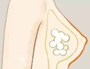 https://img.miyanlife.com/mnt/timg/180820/121R13018-14.jpg