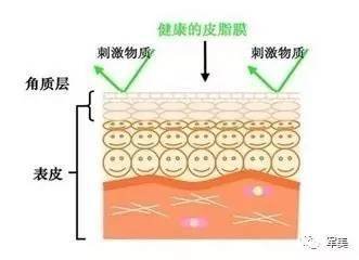 https://img.miyanlife.com/mnt/timg/180821/11100M595-1.jpg