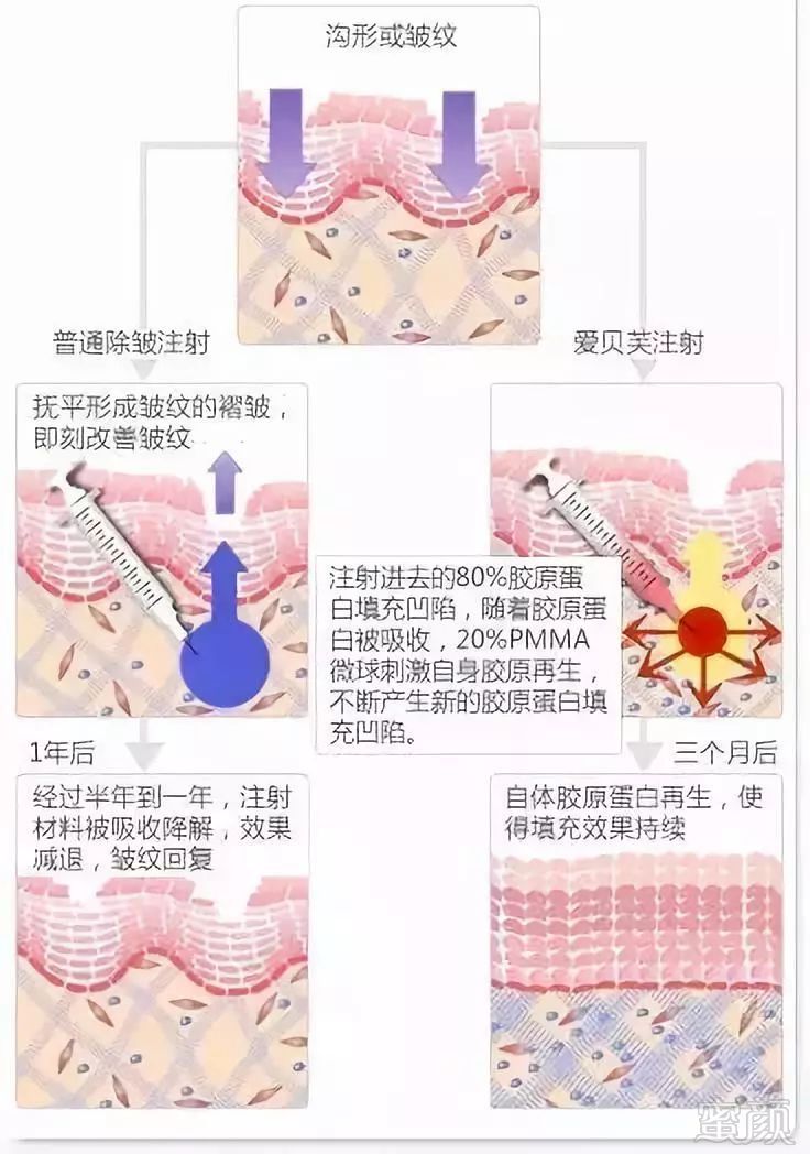 案例图片