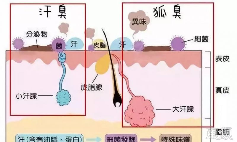 案例图片