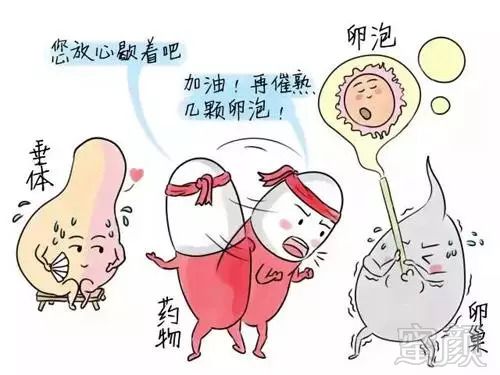 https://img.miyanlife.com/mnt/timg/180822/12493L229-0.jpg