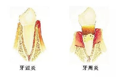 案例图片