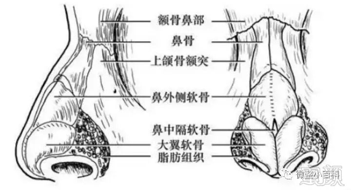 案例图片