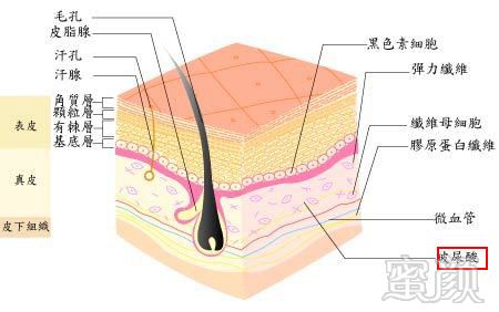 案例图片