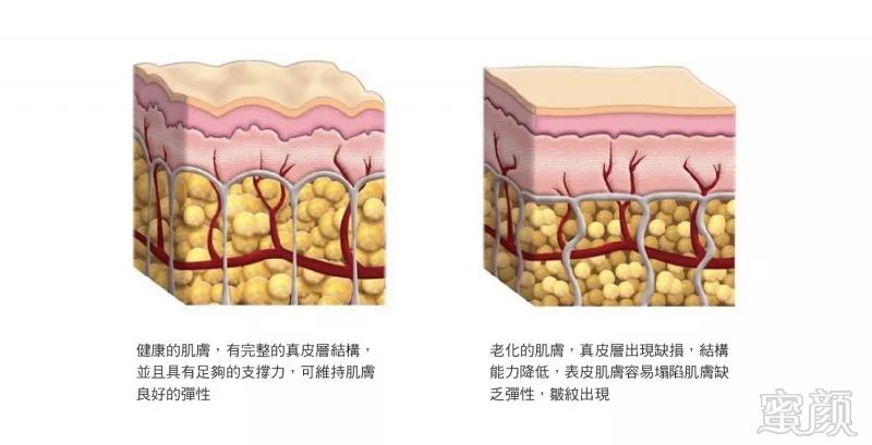 https://img.miyanlife.com/mnt/timg/180823/122550A20-2.jpg