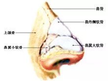 案例图片