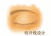 https://img.miyanlife.com/mnt/timg/180823/123P91236-1.jpg