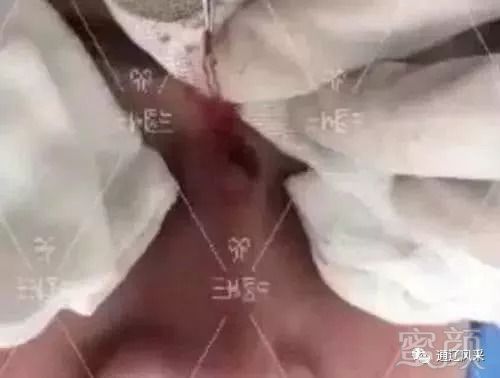 https://img.miyanlife.com/mnt/timg/180824/10513051X-2.jpg