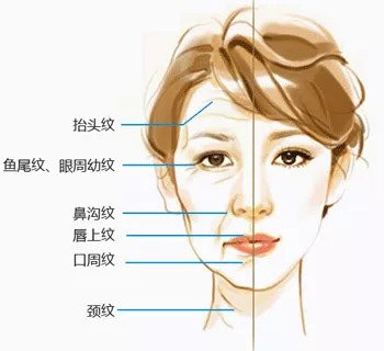 https://img.miyanlife.com/mnt/timg/180824/1150295G7-0.jpg