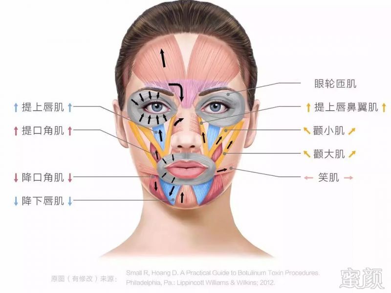 https://img.miyanlife.com/mnt/timg/180824/11595L1H-0.jpg