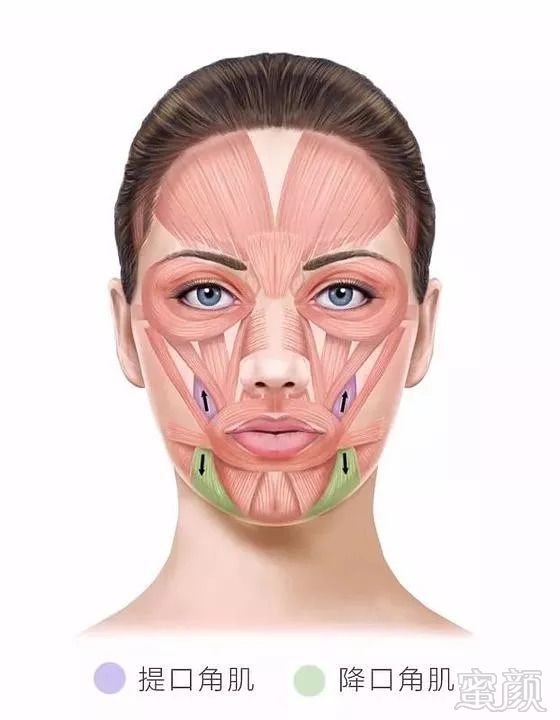 https://img.miyanlife.com/mnt/timg/180824/11595R2U-4.jpg