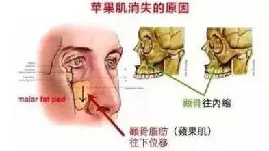 https://img.miyanlife.com/mnt/timg/180824/1212052209-2.jpg