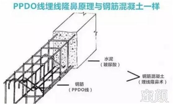 案例图片