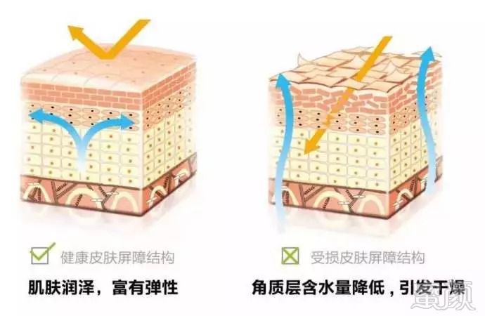 https://img.miyanlife.com/mnt/timg/180825/1050354311-6.jpg