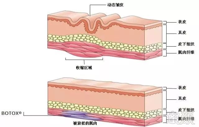 https://img.miyanlife.com/mnt/timg/180825/1243031601-3.jpg