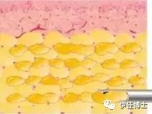 https://img.miyanlife.com/mnt/timg/180825/12430Q027-3.jpg